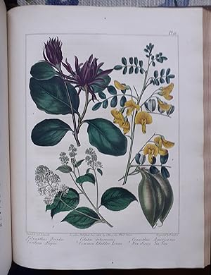 Seller image for The New Botanic Garden, Illustrated with One Hundred and Thirty-three Plants, Engraved by Sansom, From the Original Pictures, and Coloured with the Greatest Exactness from Drawings by Sydenham Edwards for sale by Libreria antiquaria Atlantis (ALAI-ILAB)