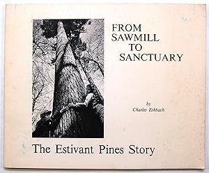 From Sawmill to Sanctuary, the Estivant Pines Story