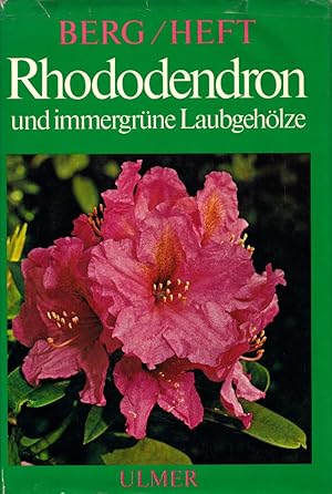 Bild des Verkufers fr Rhododendron und immergrne Laubgehlze. zum Verkauf von Buch von den Driesch