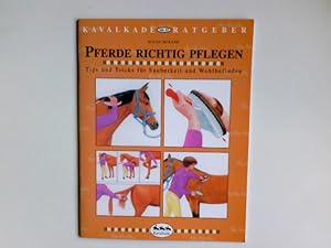 Immagine del venditore per Pferde richtig pflegen : Tips und Tricks fr Sauberkeit und Wohlbefinden. von Susan McBane. Ill. von Carole Vince. [Aus dem Engl. bertr. von Nikola Fersing] / Kavalkade-Ratgeber ; Nr. 23 venduto da Antiquariat Buchhandel Daniel Viertel