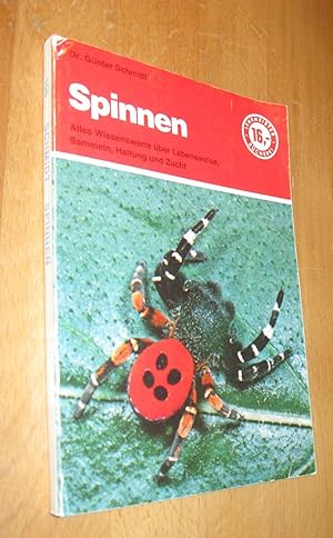 Bild des Verkufers fr Spinnen zum Verkauf von Dipl.-Inform. Gerd Suelmann