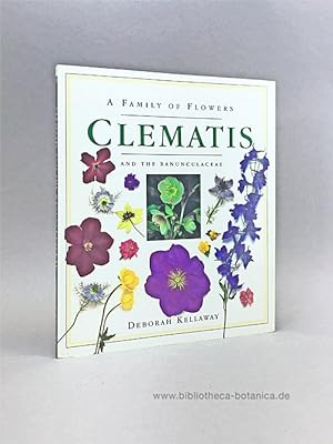 Imagen del vendedor de Clematis and the Ranunculaceae. A Family of Flowers. a la venta por Bibliotheca Botanica