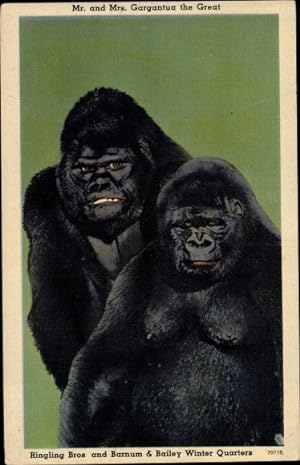 Ansichtskarte / Postkarte Mr. and Mrs. Gargantua the Great, Gorillas, Ringling Bros. and Barnum u...