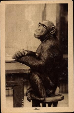 Ansichtskarte / Postkarte Schimpanse Missi mit Zigarette