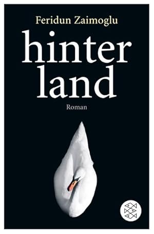 Seller image for Hinterland: Roman for sale by Buchliebe-shop I Buchhandlung am Markt