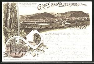 Vorläufer-Lithographie Bad Lauterberg i. Harz, 1893, Quelle, Ritscher-Denkmal, Totalansicht