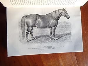 Imagen del vendedor de Heavy Horses. Breeds and Management a la venta por Creaking Shelves Books