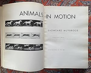 Animals in Motion