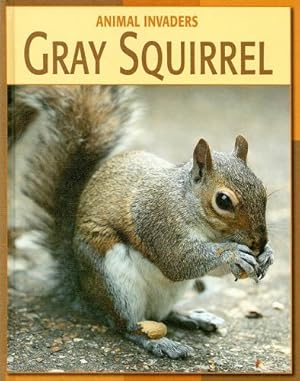 Gray Squirrel (Animal Invaders)