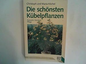 Die schönsten Kübelpflanzen. Auswahl, Standort, Pflege.