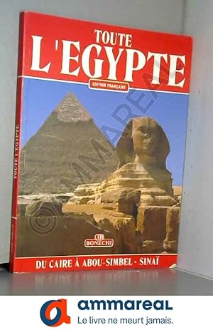 Seller image for Toute l'egypte/bonechi for sale by Ammareal