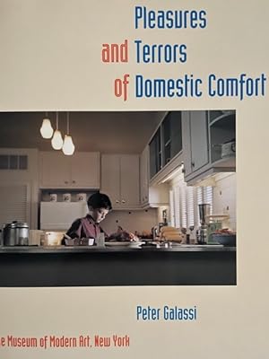 Bild des Verkufers fr Pleasures And Terrors Of Domestic Comfort zum Verkauf von Liberty Book Store ABAA FABA IOBA