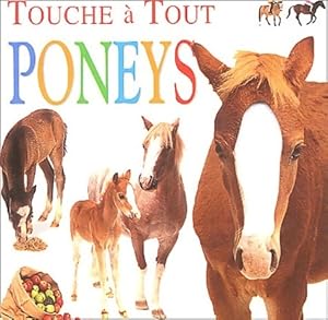 Poneys - Collectif