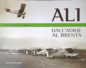 Immagine del venditore per Ali dall'Adige al Brenta venduto da Librodifaccia