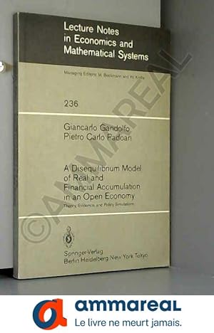 Immagine del venditore per A Disequilibrium Model of Real and Financial Accumulation in an Open Economy: Theory, Evidence, and Policy Simulations venduto da Ammareal