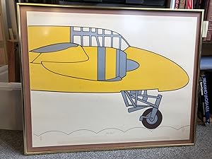 Plane View [signed]