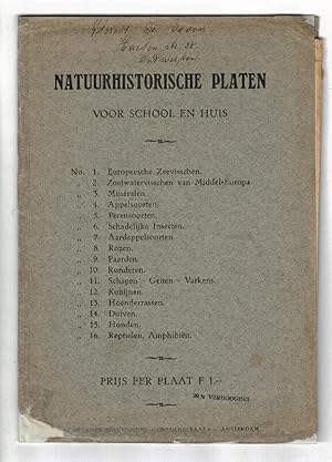 Natuurhistorische platen voor school en huis [cover title]. Prof Dr. W. Raschke's tafel der Miner...