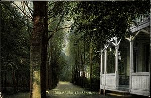 Ansichtskarte / Postkarte Drawsko Pomorskie Dramburg Pommern, Louisenhain