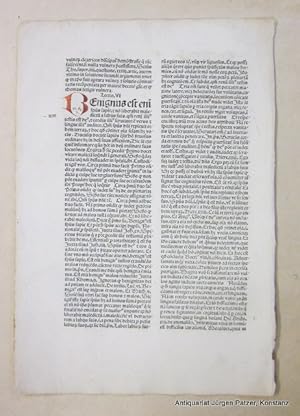 Einzelblatt aus "Super sapientiam Salomonis". Hagenau, Heinrich Gran, 1494. (GW 12889; HC 8761). ...