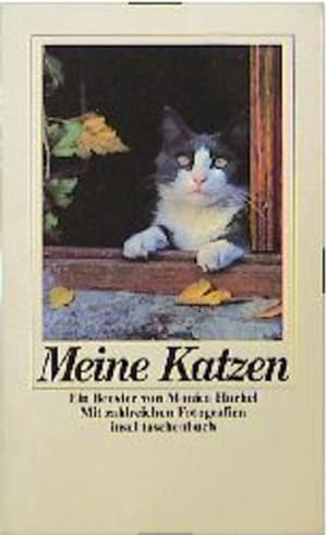 Seller image for Meine Katzen for sale by antiquariat rotschildt, Per Jendryschik