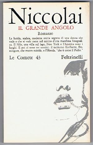 Immagine del venditore per Il grande angolo venduto da Libreria Menab