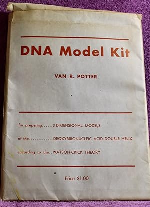 DNA MODEL KIT