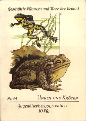 Künstler Ansichtskarte / Postkarte Unken, Kröten, Jugendherbergsgroschen, Geschützte Pflanzen und...