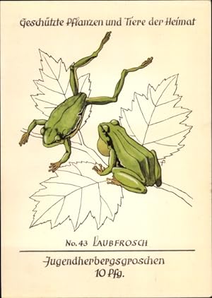 Künstler Ansichtskarte / Postkarte Laubfrosch, Jugendherbergsgroschen, Geschützte Pflanzen und Ti...