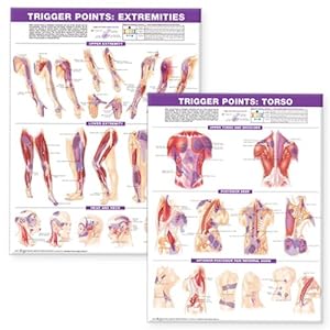 Immagine del venditore per Trigger Points Chart Set : Extremities and Torso venduto da GreatBookPrices