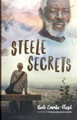 Seller image for Steele Secrets (Paperback or Softback) for sale by BargainBookStores