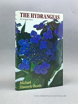 The Hydrangeas.