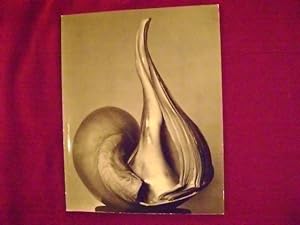 Seller image for EW:100. Centennial Essays in Honor of Edward Weston. Untitled 41. for sale by BookMine