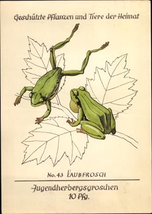Künstler Ansichtskarte / Postkarte Laubfrosch, Jugendherbergsgroschen, Geschützte Pflanzen und Ti...