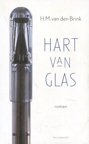 Imagen del vendedor de Hart van glas a la venta por Gabis Bcherlager