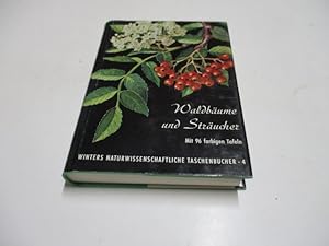 Bild des Verkufers fr Waldbume, Strucher und Zwergholzgewchse. zum Verkauf von Ottmar Mller