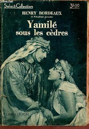 Image du vendeur pour Yamil sous les cdres mis en vente par Le-Livre