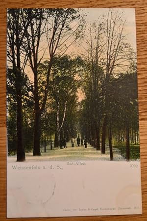 Weissenfels a.d.S., Bad-Allee. Verlagsnummer 1092