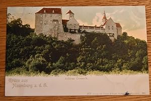 Gruss aus Naumburg a.d.S. Schloss Gooseck. Verlagsnummer 201