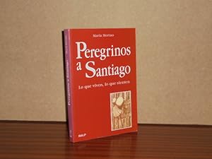 PEREGRINOS A SANTIAGO - Lo que viven, lo que sienten