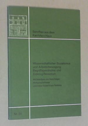 Wissenschaftlicher Sozialismus und Arbeiterbewegung. Begriffsgeschichte und Dühring-Rezeption. Mi...