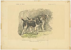 Antique Dog Print of Beagles (c.1890)