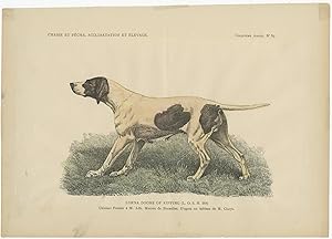 No.39 Antique Dog Print (c.1890)