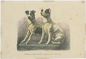 Antique Dog Print of two Fox Terriers (c.1890)