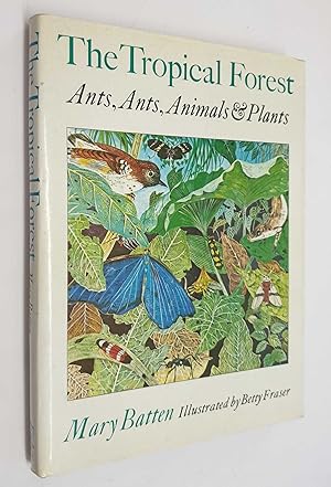 Tropical Forest: Ants, Ants, Animals and Plants