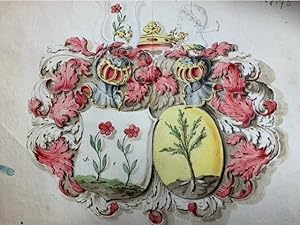 Two attractive hand drawn and hand coloured coats of arms. Heraldic design for an alliance (allia...