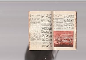 Seller image for Hagadah of Passover Hagada shel pesach [pesah pessach haggadah] for sale by Meir Turner