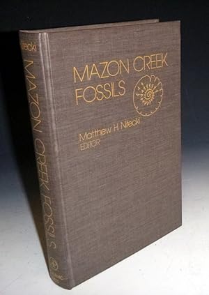 Mazon Creek Fossils