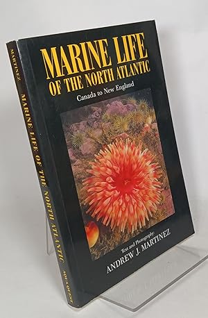Marine Life of the North Atlantic: Canada to New England