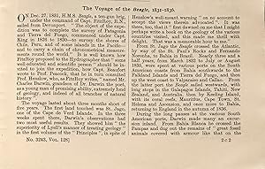 Bild des Verkufers fr The Voyage of the Beagle, 1831-1836. [and]: DOUGLAS, H.P. FitzRoyâ  s Hydrographic Surveys. [and]: BARLOW, Nora. The Voyage of the Beagle. Contained in: Nature, Vol. 128, No. 3243 & Vol. 129, No. 3249 & Vol. 129, No. 3255. These articles: pp. 1065-67; 200; 439. zum Verkauf von Jeff Weber Rare Books