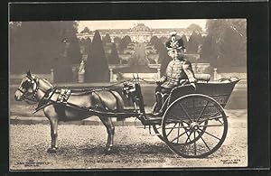 Imagen del vendedor de Ansichtskarte Prinz Wilhelm in einer Pferdekutsche vor der Kulisse des Parks von Sanssouci a la venta por Bartko-Reher